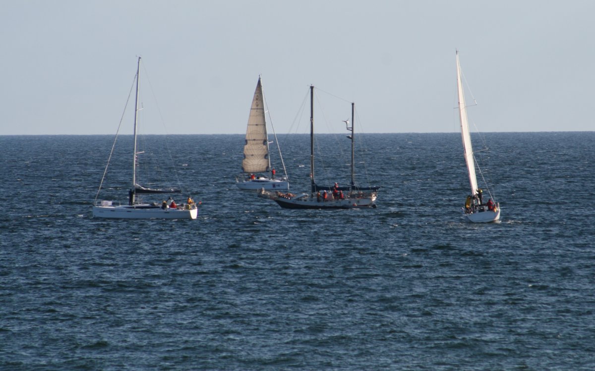 0590_IMG_1773ev