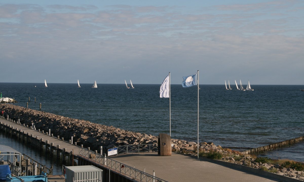 0600_IMG_1788ev