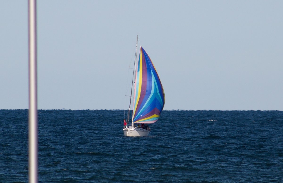 656_IMG_8992